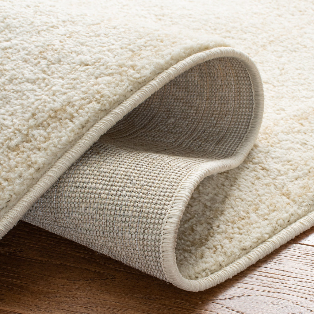 SAFAVIEH Adirondack Sian Rustic Oriental Medallion Rug