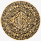SAFAVIEH Adirondack Sian Rustic Oriental Medallion Rug