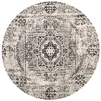 SAFAVIEH Evoke Gioia Vintage Boho Medallion Distressed Rug