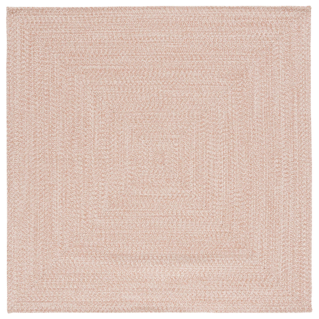 SAFAVIEH Handmade Braided Anthi Casual Rug