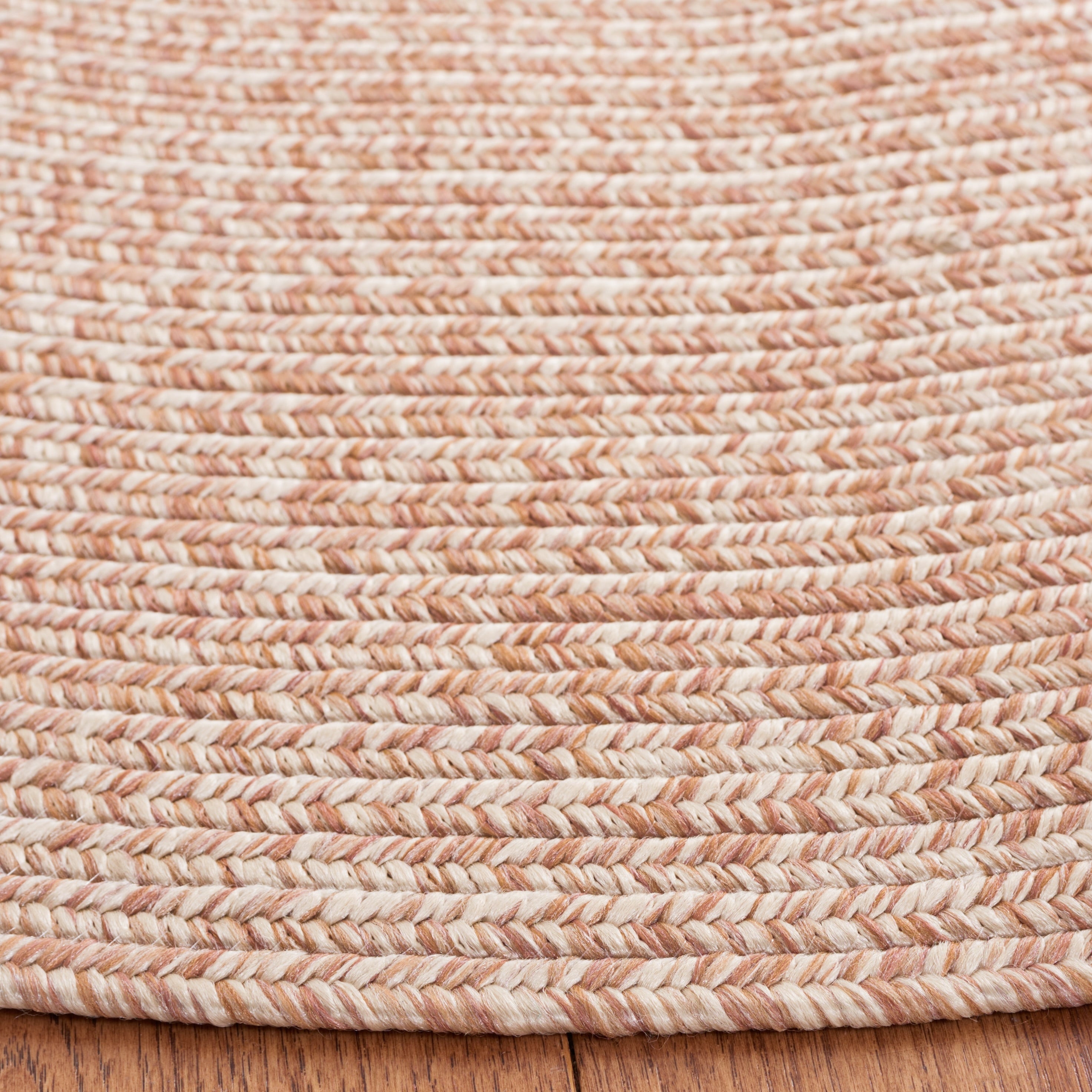 SAFAVIEH Handmade Braided Anthi Casual Rug