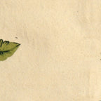 SAFAVIEH Handmade Chelsea Margrieta French Country Wool Rug