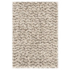 SAFAVIEH Hudson Shag Kirti 2-inch Thick Rug
