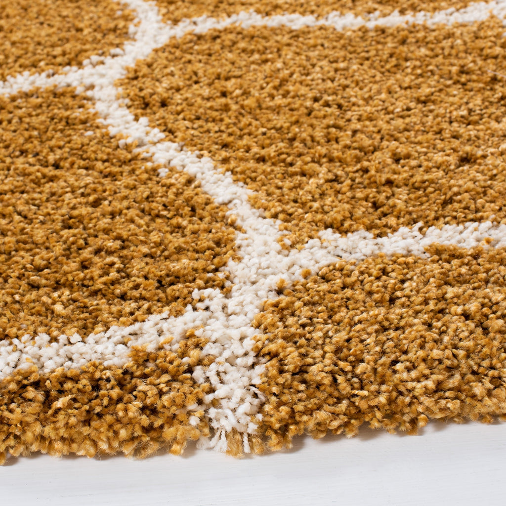 SAFAVIEH Hudson Shag Pushpa Trellis 2-inch Thick Area Rug