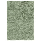 SAFAVIEH Lindsay Shag Luann Contemporary Rug
