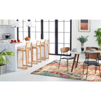 SAFAVIEH Monaco Brunhildis Distressed Boho Rug