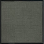 SAFAVIEH Natural Fiber Alleen Casual Border Sisal Rug