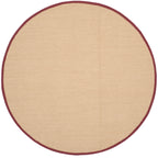 SAFAVIEH Natural Fiber Venus Casual Border Sisal Rug