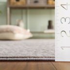 SAFAVIEH Reflection Elzada Oriental Rug