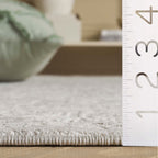 SAFAVIEH Reflection Elzada Oriental Rug