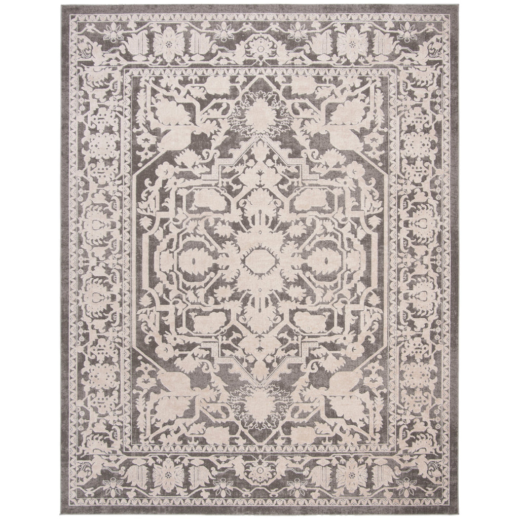 SAFAVIEH Reflection Eulalie Modern Oriental Rug