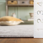 SAFAVIEH Reflection Eulalie Modern Oriental Rug