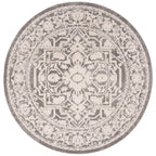 SAFAVIEH Reflection Eulalie Modern Oriental Rug