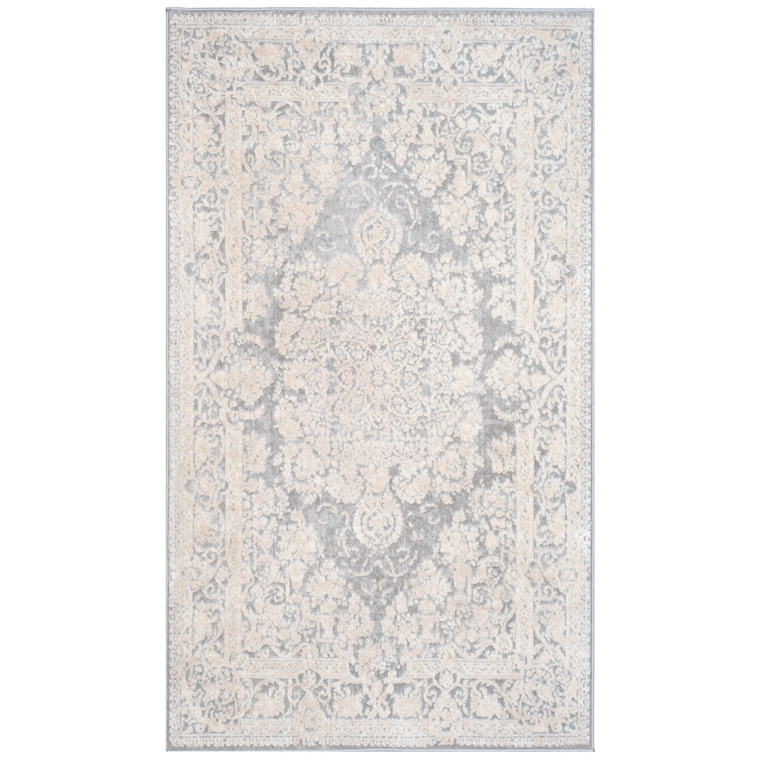 SAFAVIEH Reflection Euna Charming Oriental Rug