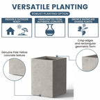 Tall Concrete Rectangle Plant Boxes / Large Indoor and Outdoor Flower Planters