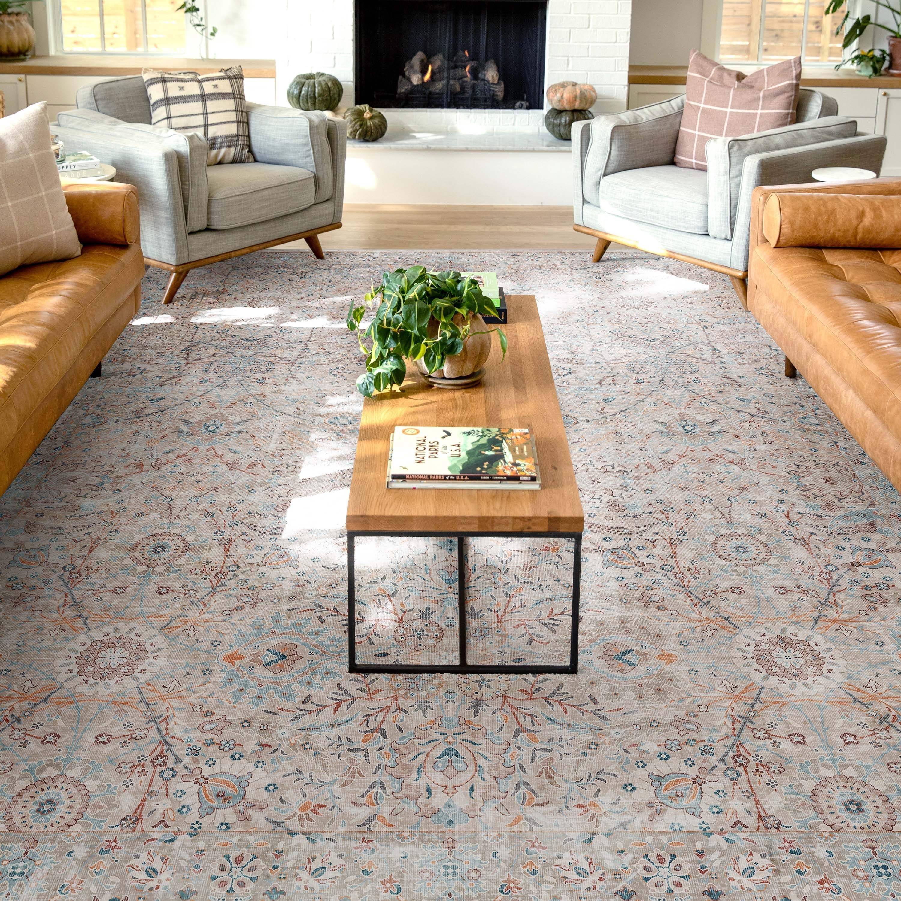 Well Woven Asha Vintage Emilia Flat-Weave Area Rug