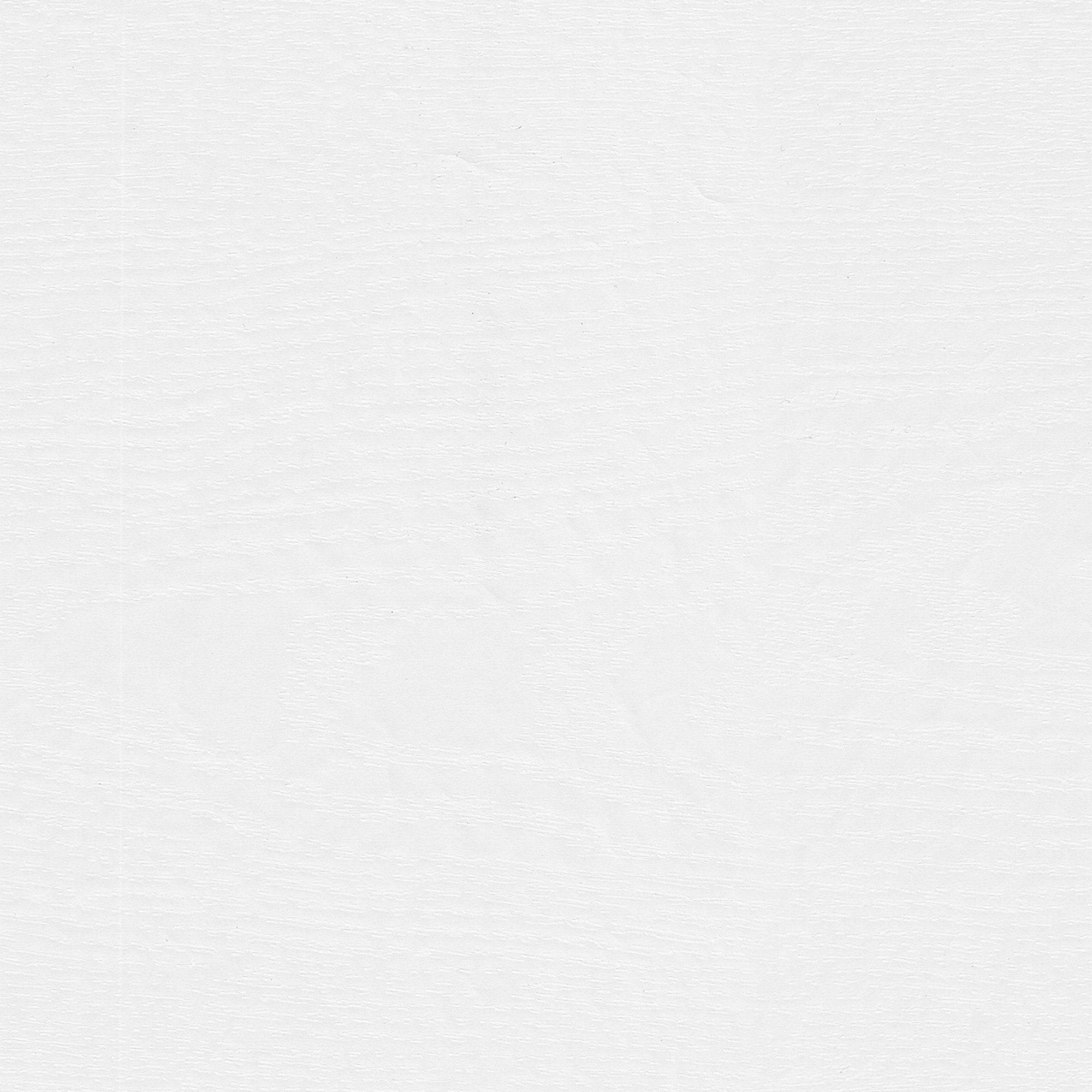 Woodland 40W Wall Mounted Coat Rack with Shelf by Bush Furniture